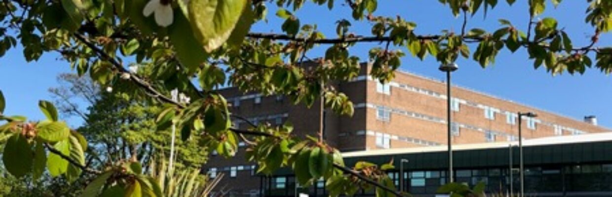 Freeman April 2019 - small web