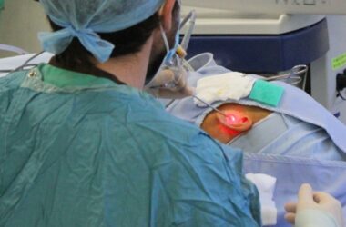 New ear endoscopy service at The Great North Children's Hospital in Newcastle upon Tyne.